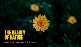 Connecting With Nature As You Trave - Customizable Professional Web Page Design