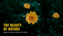 Verbinden Met De Natuur Terwijl Je Reist - Ultiem WordPress-Thema