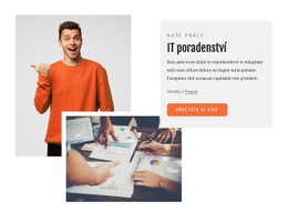 Prémiový Motiv WordPress Pro To Konzultanti