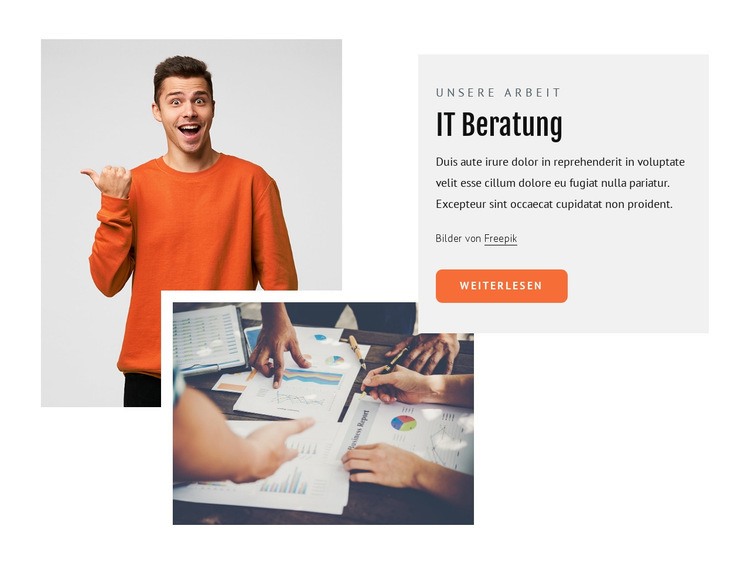 IT-Berater Website design