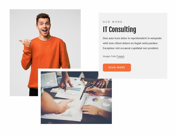 It consultants Homepage Design