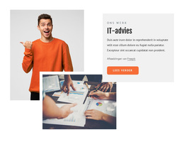 Premium WordPress-Thema Voor It-Consultants