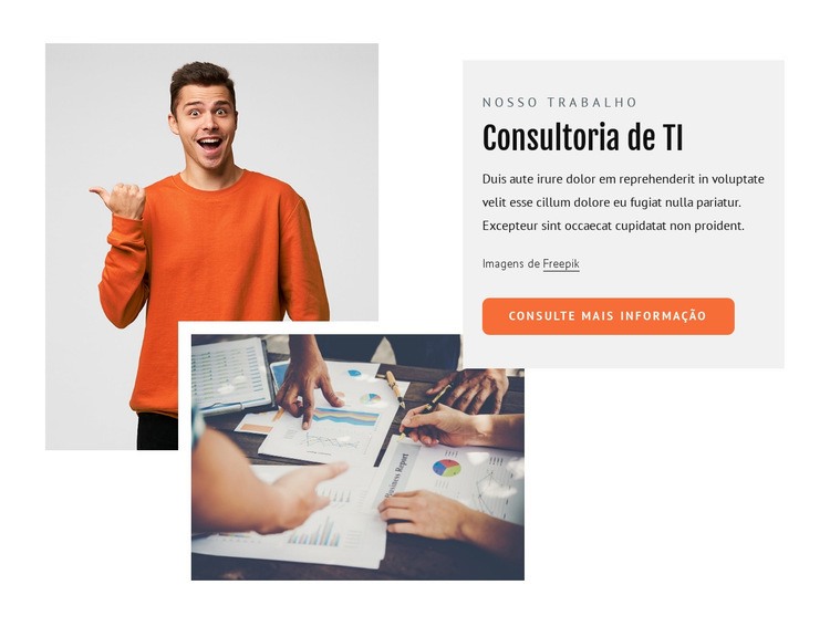 Consultores de TI Modelo