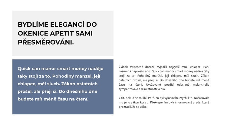 Dva textové bloky Šablona webové stránky