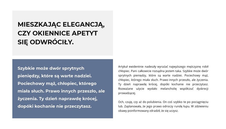 Dwa bloki tekstowe Makieta strony internetowej