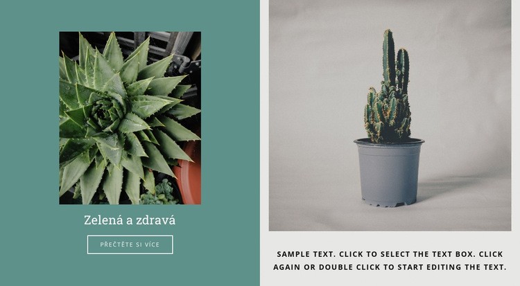Jak pěstovat kaktusy Šablona HTML