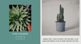 Cómo Cultivar Cactus - Plantilla De Sitio Web Gratuita