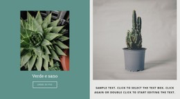 Come Coltivare I Cactus Modello Di Sito Web CSS Gratuito