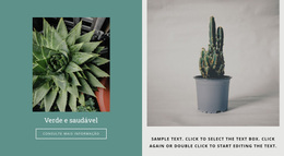 Como Cultivar Cactos - Tema WordPress Gratuito