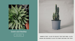 How To Grow Cacti - Free Website Template
