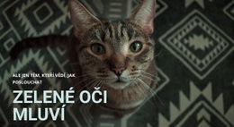 Šablona Webu Pro Zelené Oči Mluví