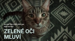Zelené Oči Mluví – Kreativní Víceúčelový Design Stránek