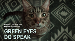 Green Eyes Do Speak Templates Html5 Responsive Free