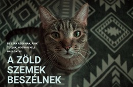 A Zöld Szemek Beszélnek – Webhelysablon Letöltése