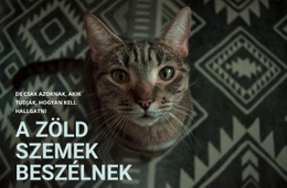 A Zöld Szemek Beszélnek - Kreatív Többcélú Webhelytervezés