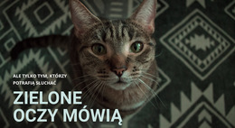 Zielone Oczy Mówią Projekt Strony Internetowej