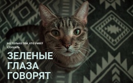 Зеленые Глаза Говорят - Креативный Многофункциональный Дизайн Сайта