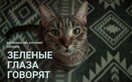 Эксклюзивный Шаблон Joomla Для Зеленые Глаза Говорят