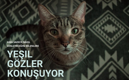 Yeşil Gözler Konuşuyor Web Sitesi Tasarımı