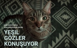 Yeşil Gözler Konuşuyor - Yaratıcı, Çok Amaçlı Site Tasarımı