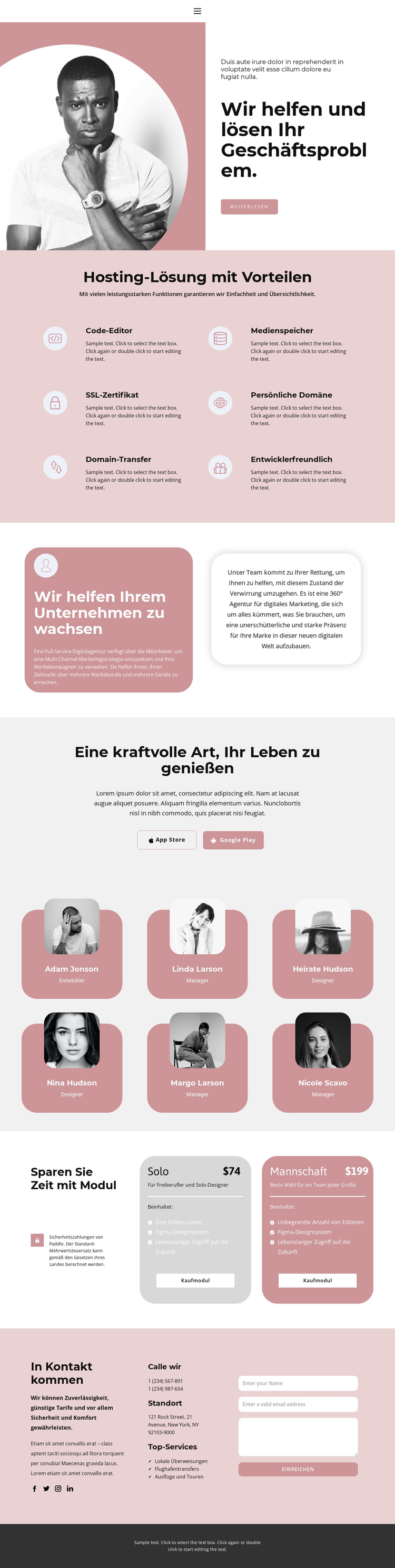 Problemlösung ist unsere Wahl WordPress-Theme