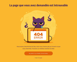 404 Page Avec Chat