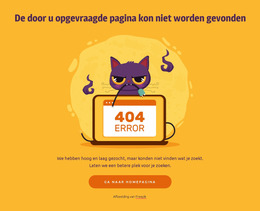 404 Pagina Met Kat