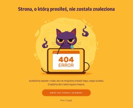 Strona 404 Z Kotem Meet Envato