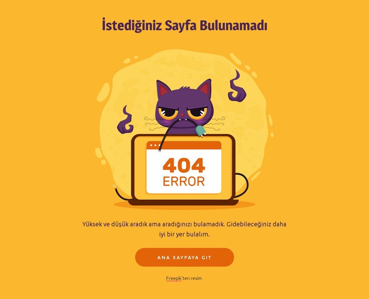 kedi ile 404 sayfa Açılış sayfası