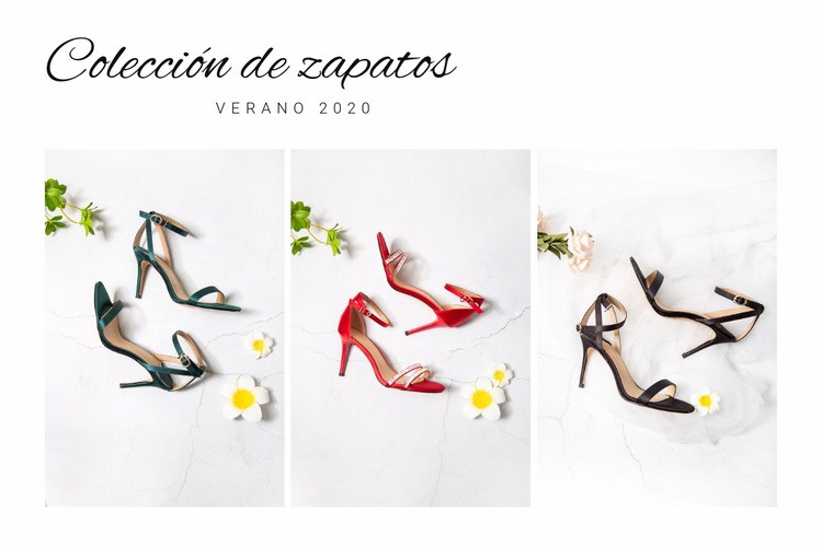 Colección de zapatos Diseño de páginas web