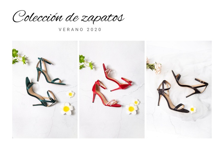Colección de zapatos Maqueta de sitio web
