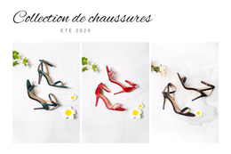 Collection De Chaussures - Thème WordPress Ultime