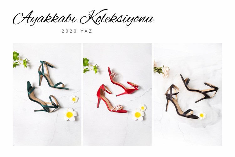 Ayakkabı koleksiyonu Web sitesi tasarımı