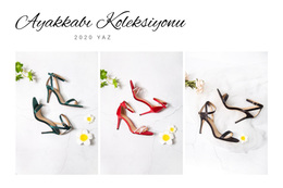 Ayakkabı Koleksiyonu - Nihai WordPress Teması