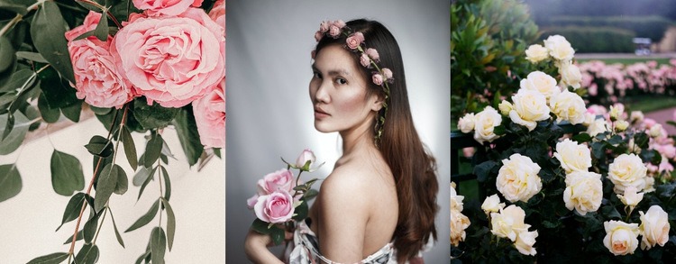 Rosen in modischen Bildern Website-Vorlage