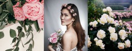 Rosas En Imágenes De Moda - Diseño De Una Página