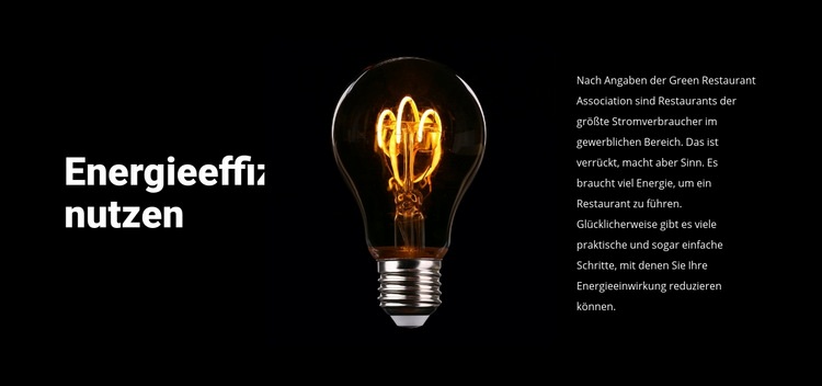 Energiesparlampen Website design