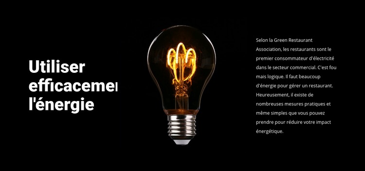 Lampes à économie d'énergie Conception de site Web
