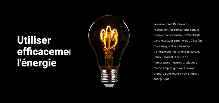 Lampes à économie d'énergie Créateur de site Web HTML