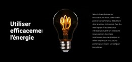 Lampes À Économie D'Énergie - Maquette De Conception Web
