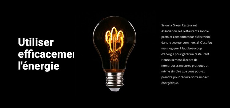 Lampes à économie d'énergie Maquette de site Web