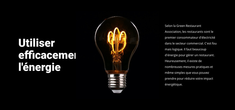 Lampes à économie d'énergie Modèle HTML