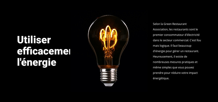 Lampes à économie d'énergie Modèle de site Web