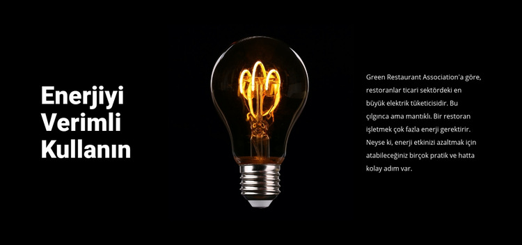 Enerji tasarruflu lambalar Web Sitesi Şablonu