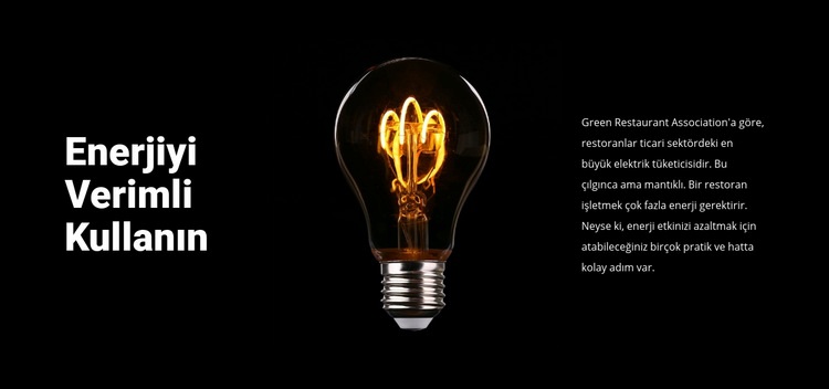 Enerji tasarruflu lambalar Web sitesi tasarımı