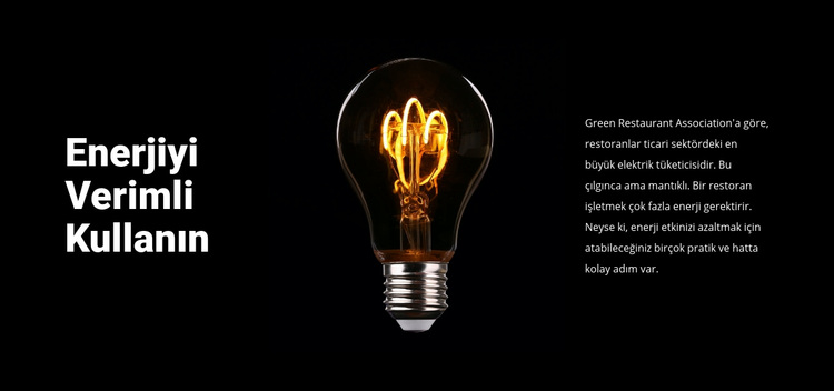 Enerji tasarruflu lambalar WordPress Teması