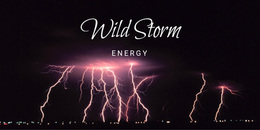 Premium Website Design For Wild Storm Energy