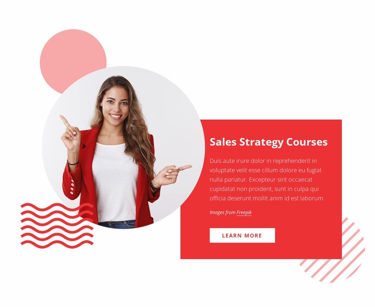 Sales strategy courses Homepage Design