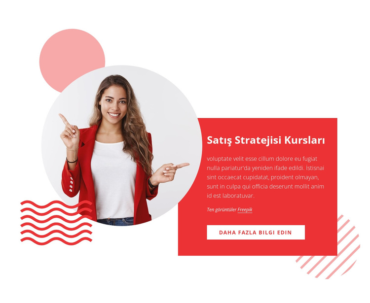 Satış stratejisi kursları WordPress Teması