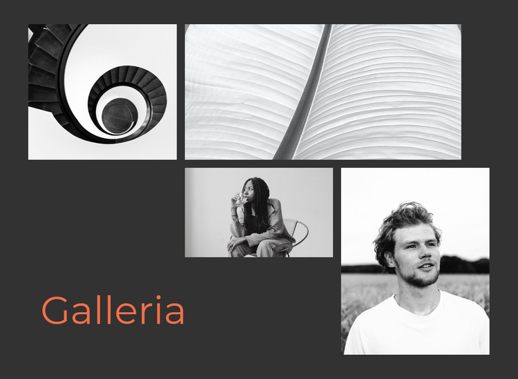 Galleria insolita Tema WordPress